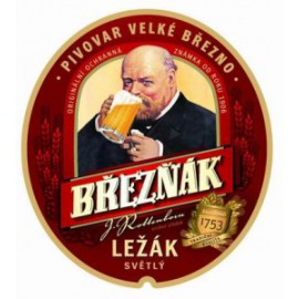 Březňák Pale Lager (20 x 0,5 l bottled)