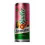 Zlatopramen Radler Grapefruit (24 x 0,5 l canned)