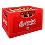 Budweiser Budvar B:Original (24 x 0,33 bottled)