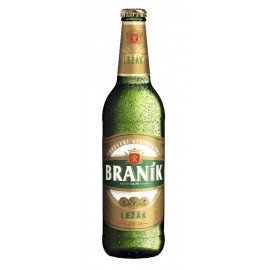 Braník Světlý (20 x 0,5 l lahvové)