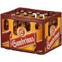 Gambrinus Premium (20 x 0,5 l lahvové)